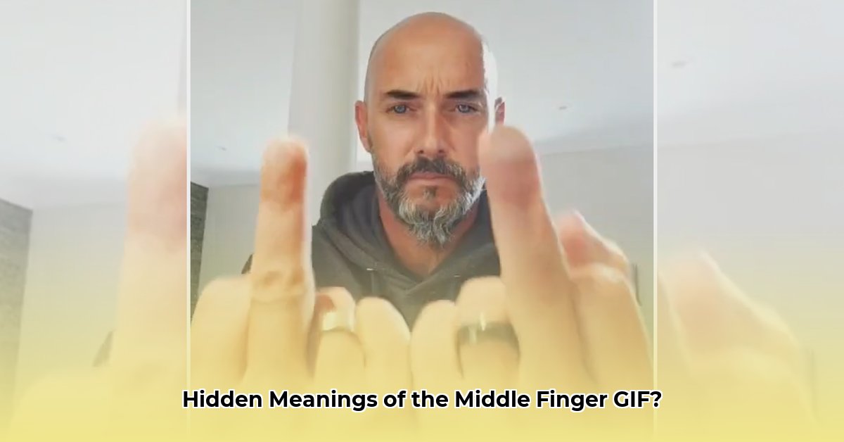 middle-finger-gif